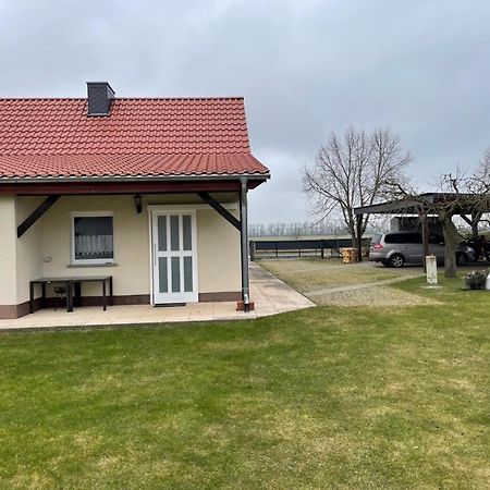 Ferienhaus Altenhof Mueritz Exterior foto